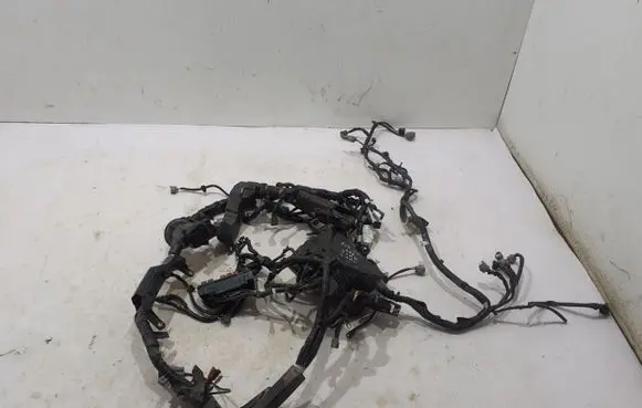 Subaru Forester SK Other wiring loom 81404SJ780