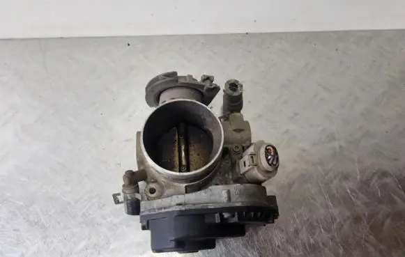 Volkswagen New Beetle Throttle valve 06A133066E