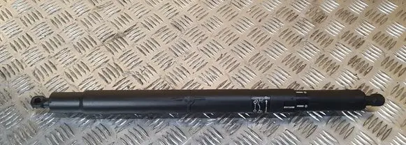 BMW X6 E71 Tailgate/trunk strut/damper 7201939 51247201939