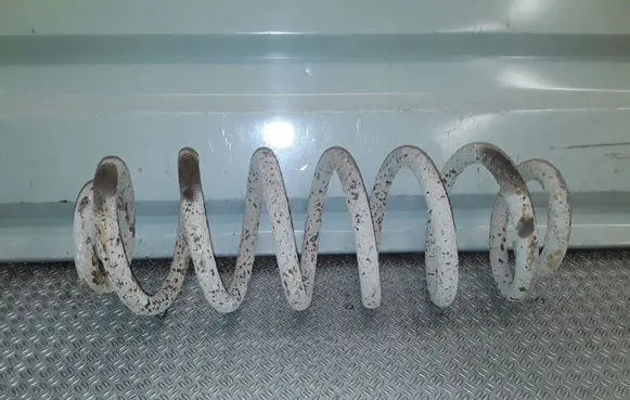 Rear coil spring