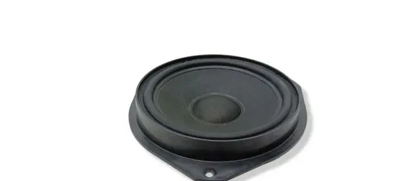 Opel Signum Front door speaker 24423552