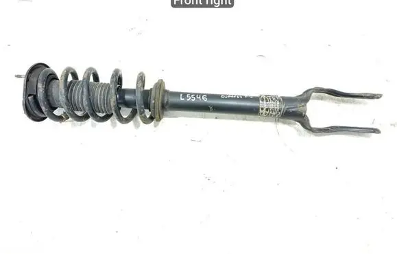 Dodge Durango Front shock absorber with coil spring