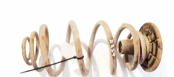 Opel Zafira A Rear coil spring