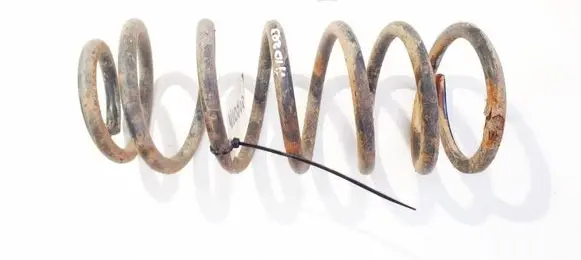 Rear coil spring