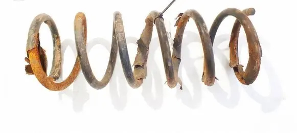 Rear coil spring