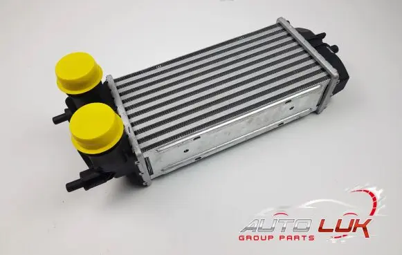 Ford Ecosport Intercooler radiator GN11-6K775-AB 961485