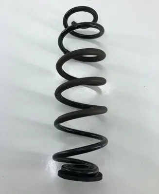 Toyota C-HR I Rear coil spring 560A48231 48257F4010