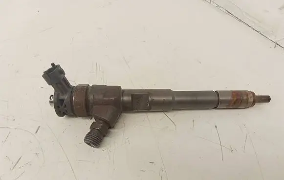 Dacia Dokker Fuel injector H8201453073 0445110652
