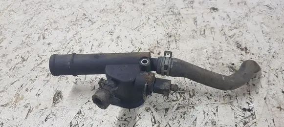 Thermostat/thermostat housing