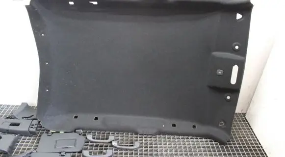 Nissan Juke I F15 Headlining 