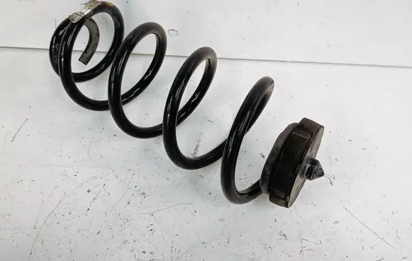 Rear coil spring