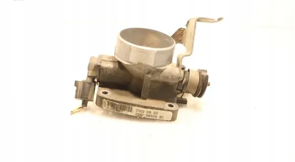 Throttle body valve