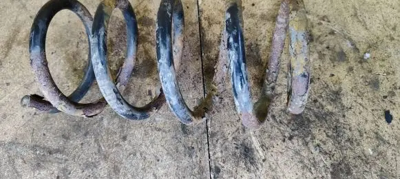 Hyundai Santa Fe Rear coil spring