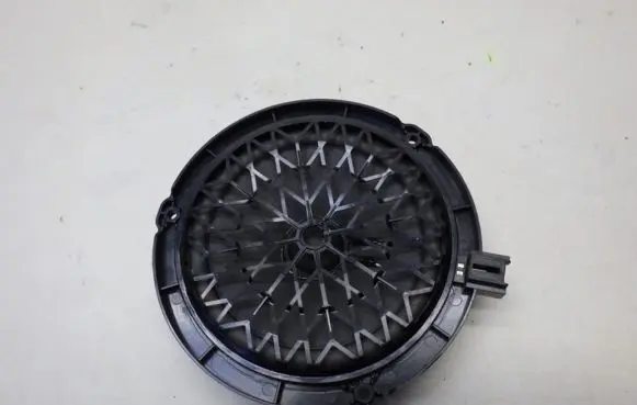 Citroen C3 Front door speaker