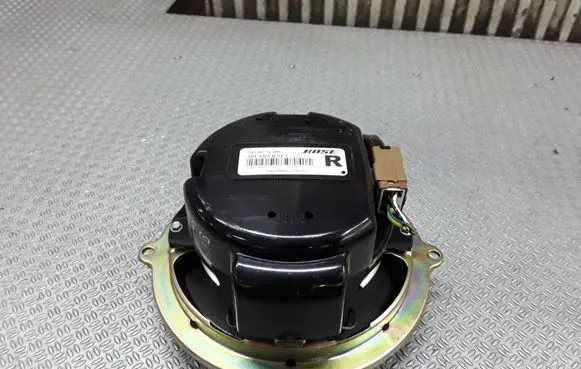 Rear door speaker