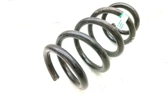 Rear coil spring