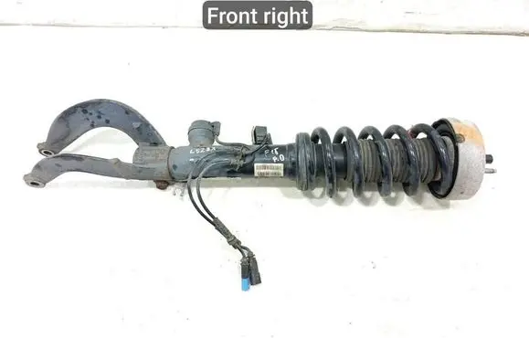 BMW X5 F15 Front shock absorber/damper 10541310
