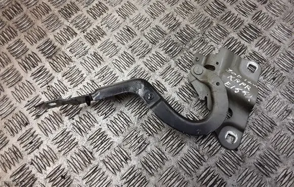 Renault Zoe Engine bonnet/hood hinges 