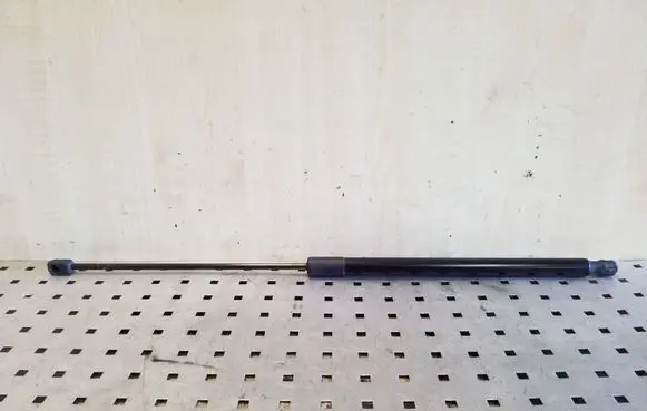 Tailgate strut