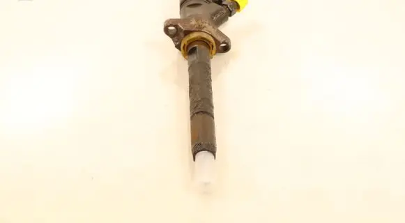 Citroen C3 Fuel injector 0445110311
