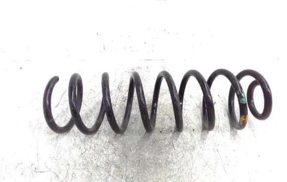 Renault Megane II Rear coil spring