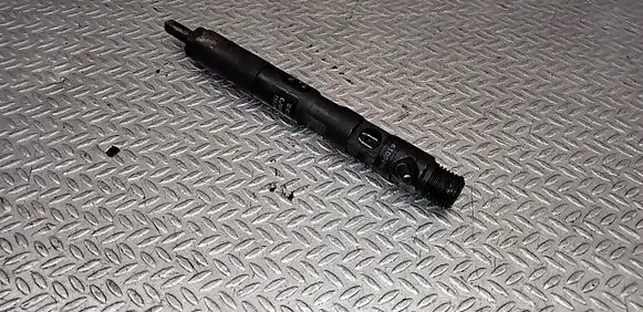 Renault Clio III Fuel injector EJBR02101Z