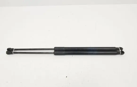 Tailgate/trunk strut/damper