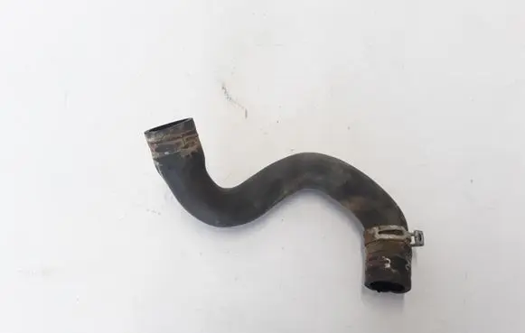 Dacia Sandero Engine coolant pipe/hose 215012899R