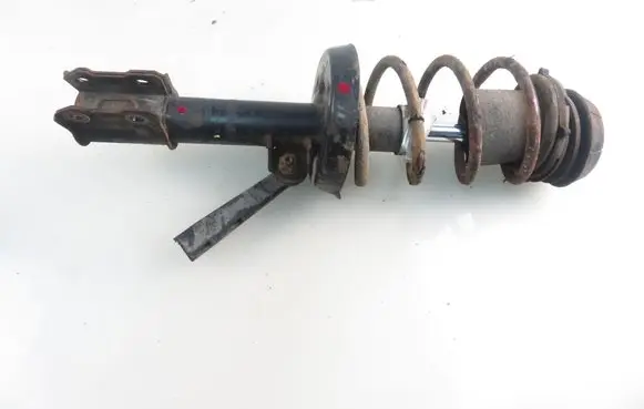 Opel Zafira A Front shock absorber with coil spring DSB040G