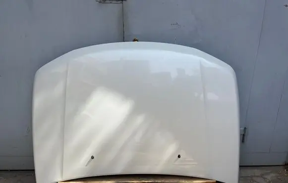 Suzuki Grand Vitara II Engine bonnet/hood 1198880J00