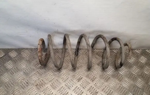 Front coil spring