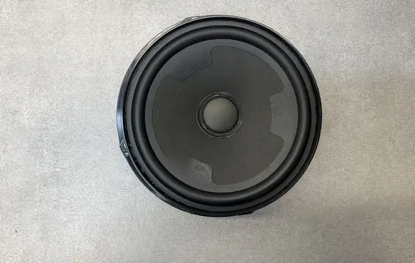Volkswagen PASSAT B8 Rear door speaker 3G0035453