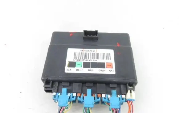 Hummer H2 Central body control module 15257043