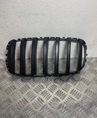 BMW X6 F16 Front bumper upper radiator grill 7316075