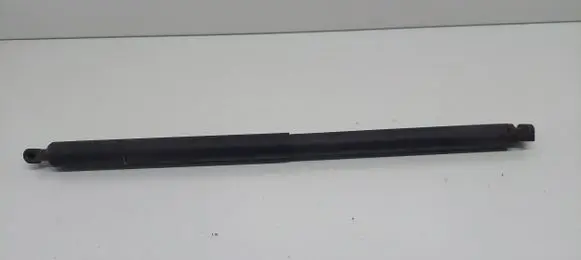 Opel Insignia A Tailgate/trunk strut/damper 0075640710