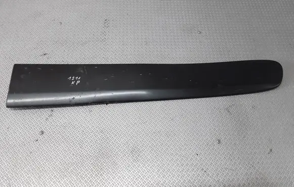 Toyota RAV 4 (XA20) Front door trim (molding) 7573242100
