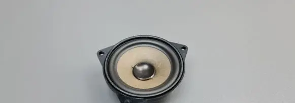 Rear door speaker