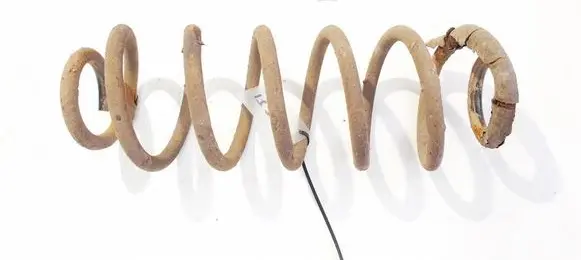 Rear coil spring