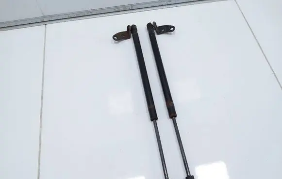 Tesla Model S Tailgate/trunk strut/damper 6006603