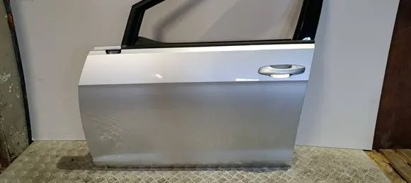 Volkswagen e-Golf Front door 