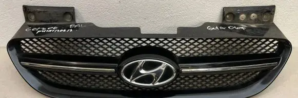 Hyundai Getz Front grill 863851C310