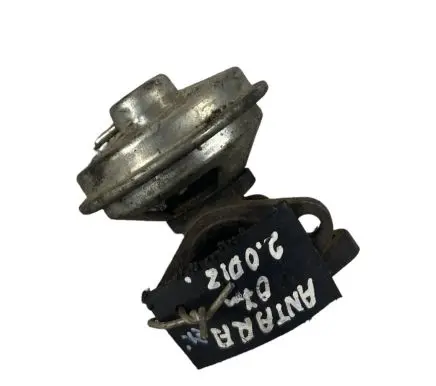 Opel Antara EGR valve