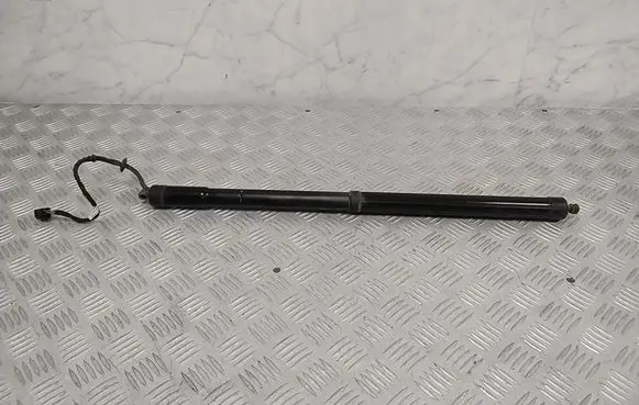 Tailgate strut