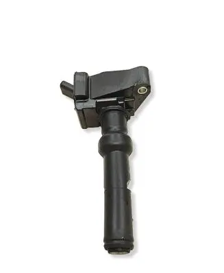 Ford Puma High voltage ignition coil R2XG12A366AA B2541503784