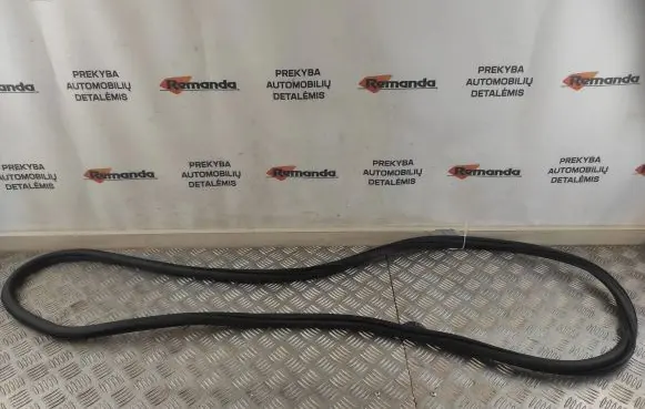 Volkswagen e-Golf Rear door rubber seal (on body) 5GE867913