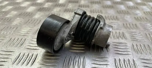 Nissan Qashqai Alternator belt tensioner 117506193R