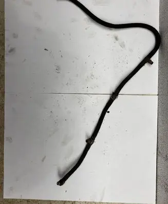 Hyundai Santa Fe Fuel return line/hose 