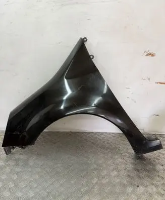 Renault Modus Fender