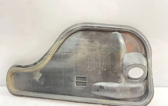 Other front door trim element