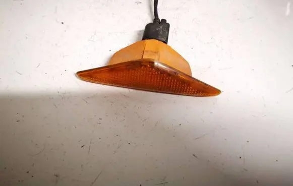 Front fender indicator light